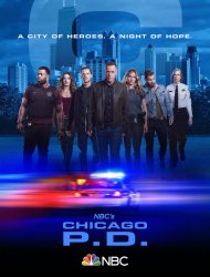 Chicago PD french stream hd
