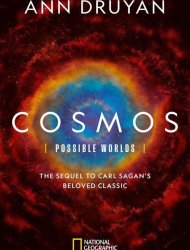 Cosmos: Possible Worlds french stream hd