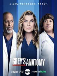 Grey's Anatomy french stream hd