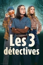 Les 3 détectives french stream hd