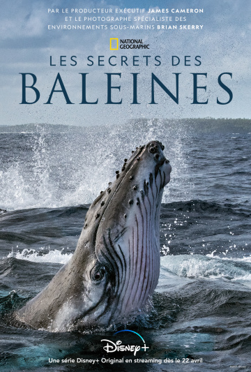 Les Secrets des baleines french stream hd