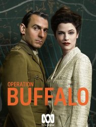 Operation Buffalo french stream