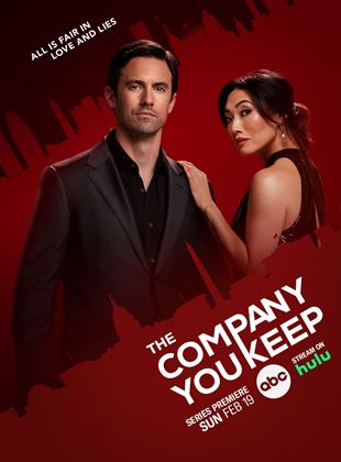 The Company You Keep french stream hd