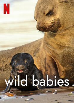 Wild Babies : Petits et Sauvages french stream hd
